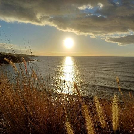 Un Paraiso En Tenerife Пунта-дель-Идальго Экстерьер фото